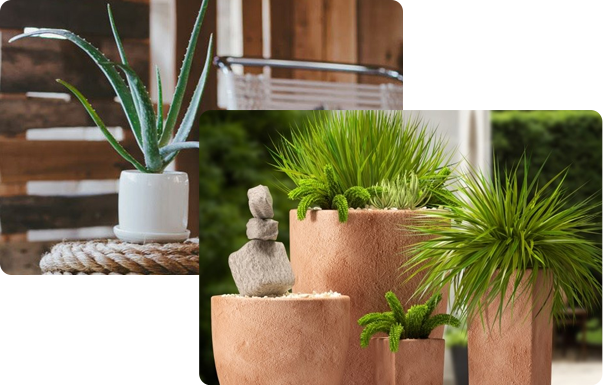 VẬT TƯ CÂY CẢNH CÔ LỤA